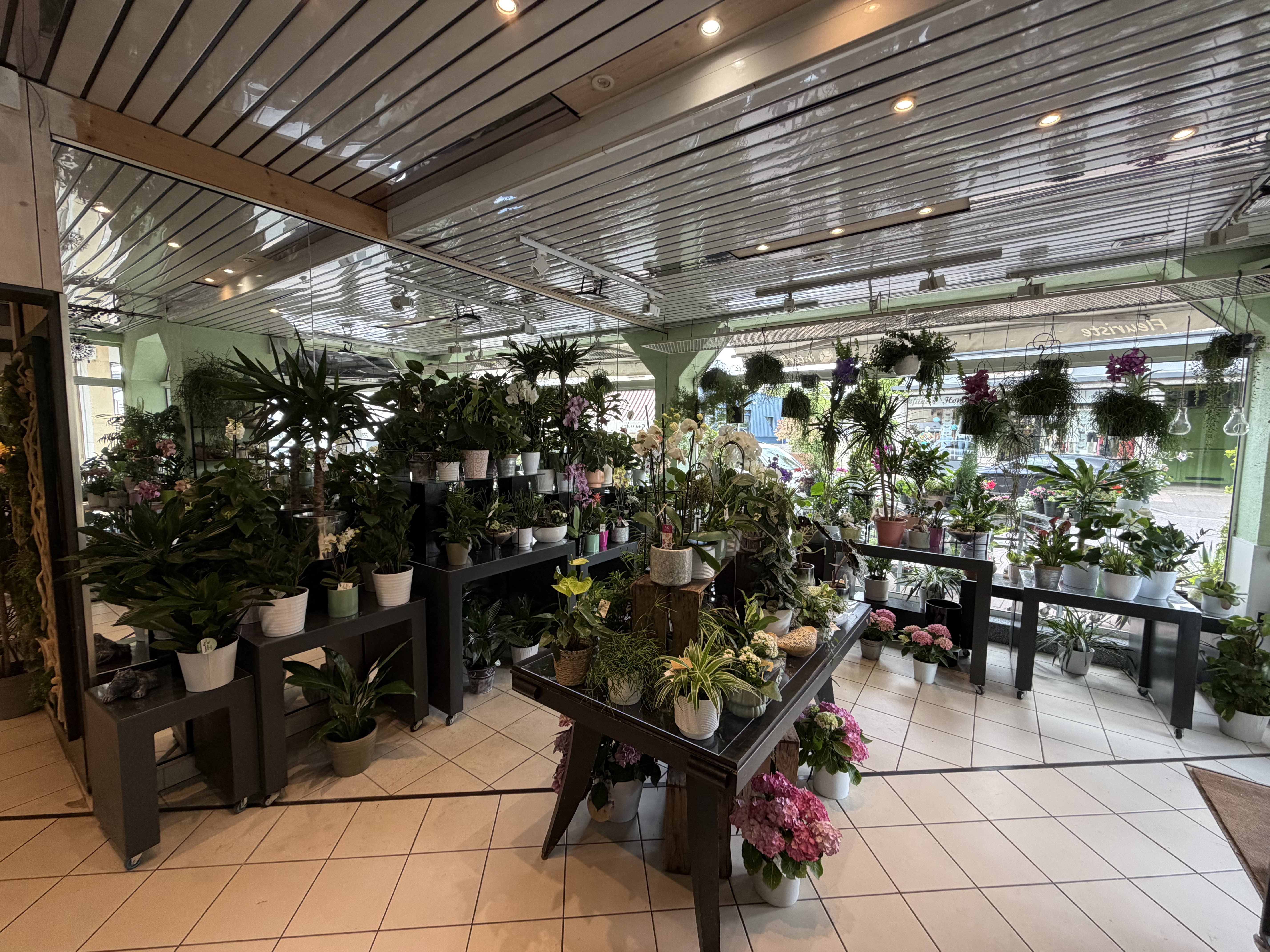 Grand choix de plantes disponibles en boutique